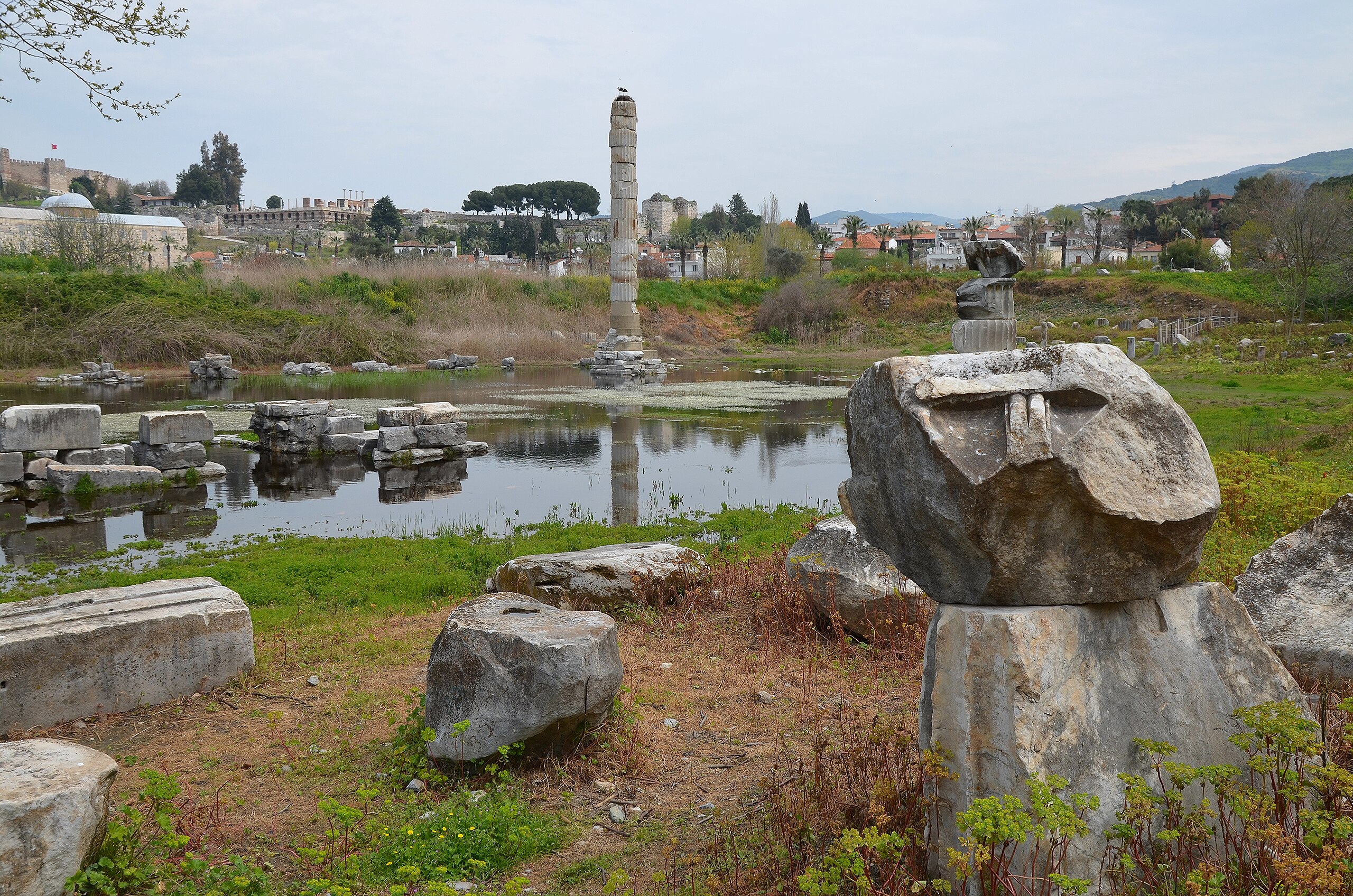 A grassy area with a pond.