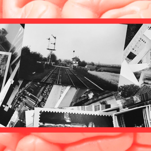 A photo of a brain with false memories.