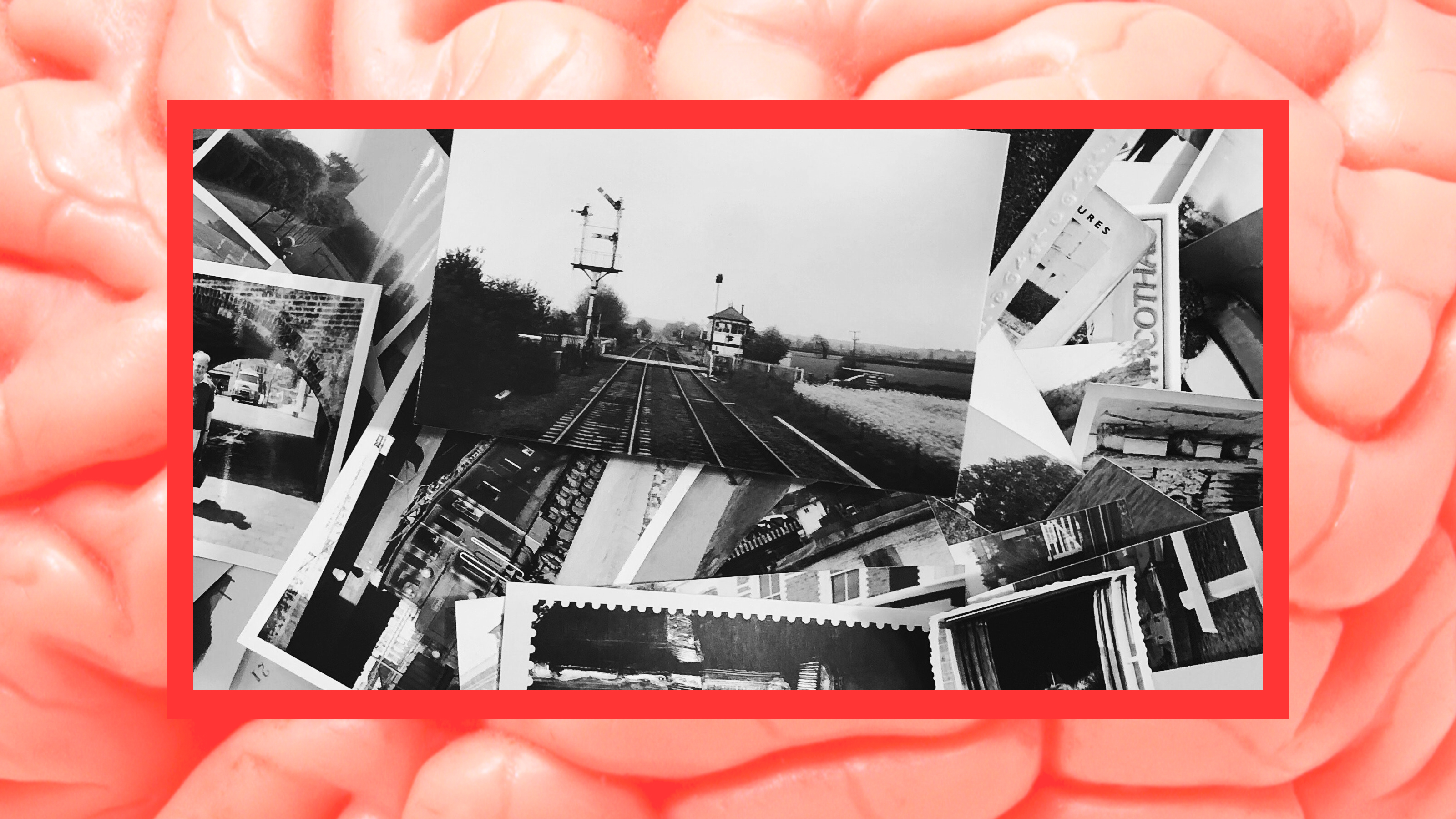 A photo of a brain with false memories.