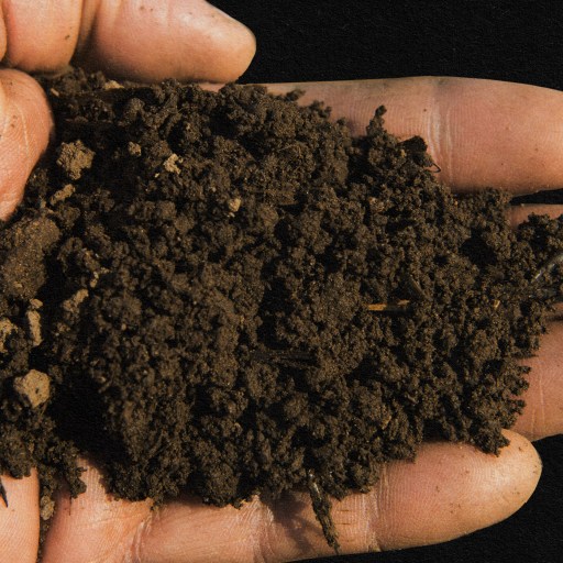 A person's hand holding a pile of dirt, depicting geophagy.