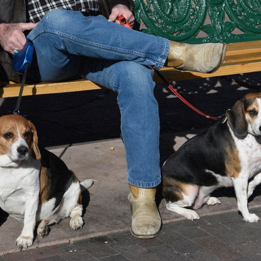 A man sitting on a bench with his dog.