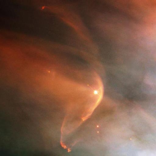 LL Orionis bow shock nebula
