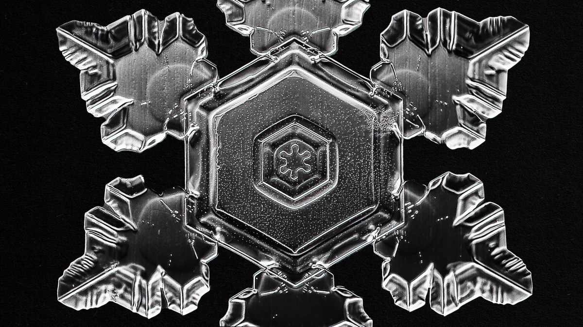 An image of a snowflake on a black background, showcasing its scientific intricacies and ethereal beauty.