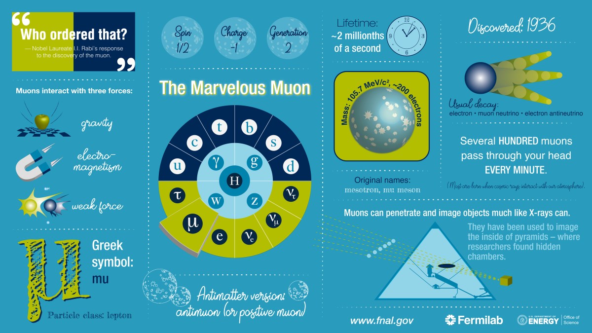 The muon particle infographic fermilab