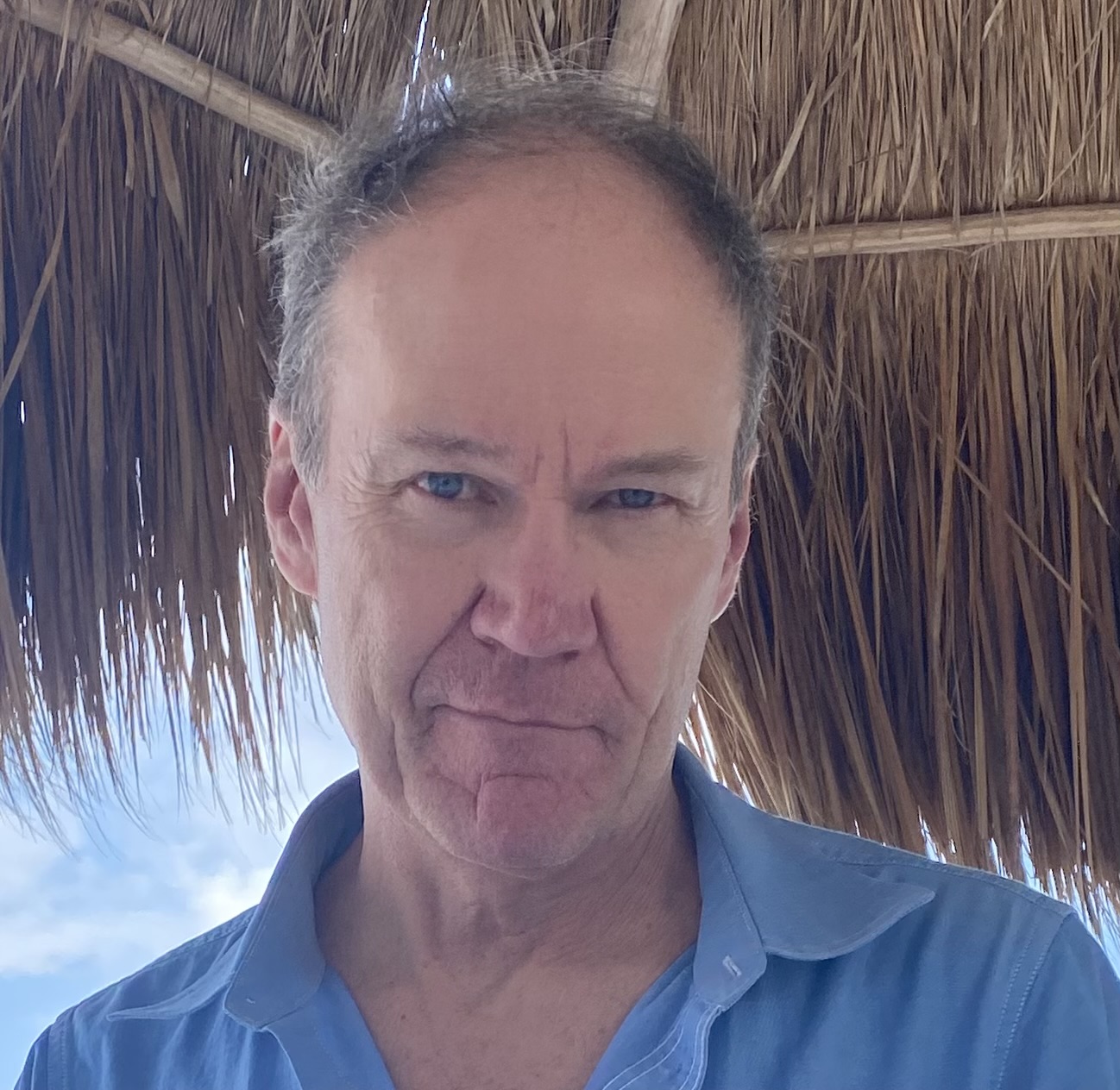 A man in a blue shirt standing under a thatched roof.
