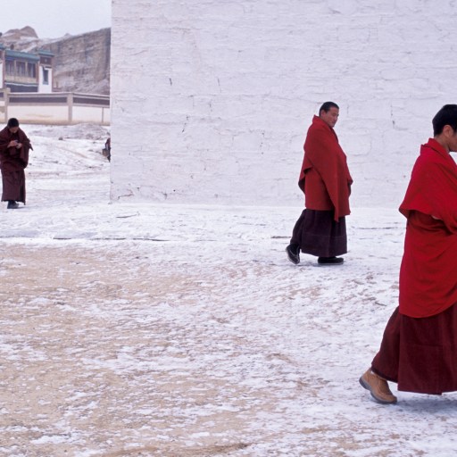Monks in red robes walking in the snow during biostasis.