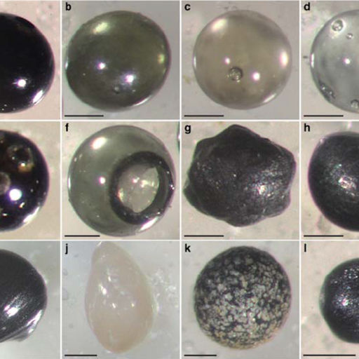 A series of images showing different types of micrometeorites recovered in the transantarctic mountains