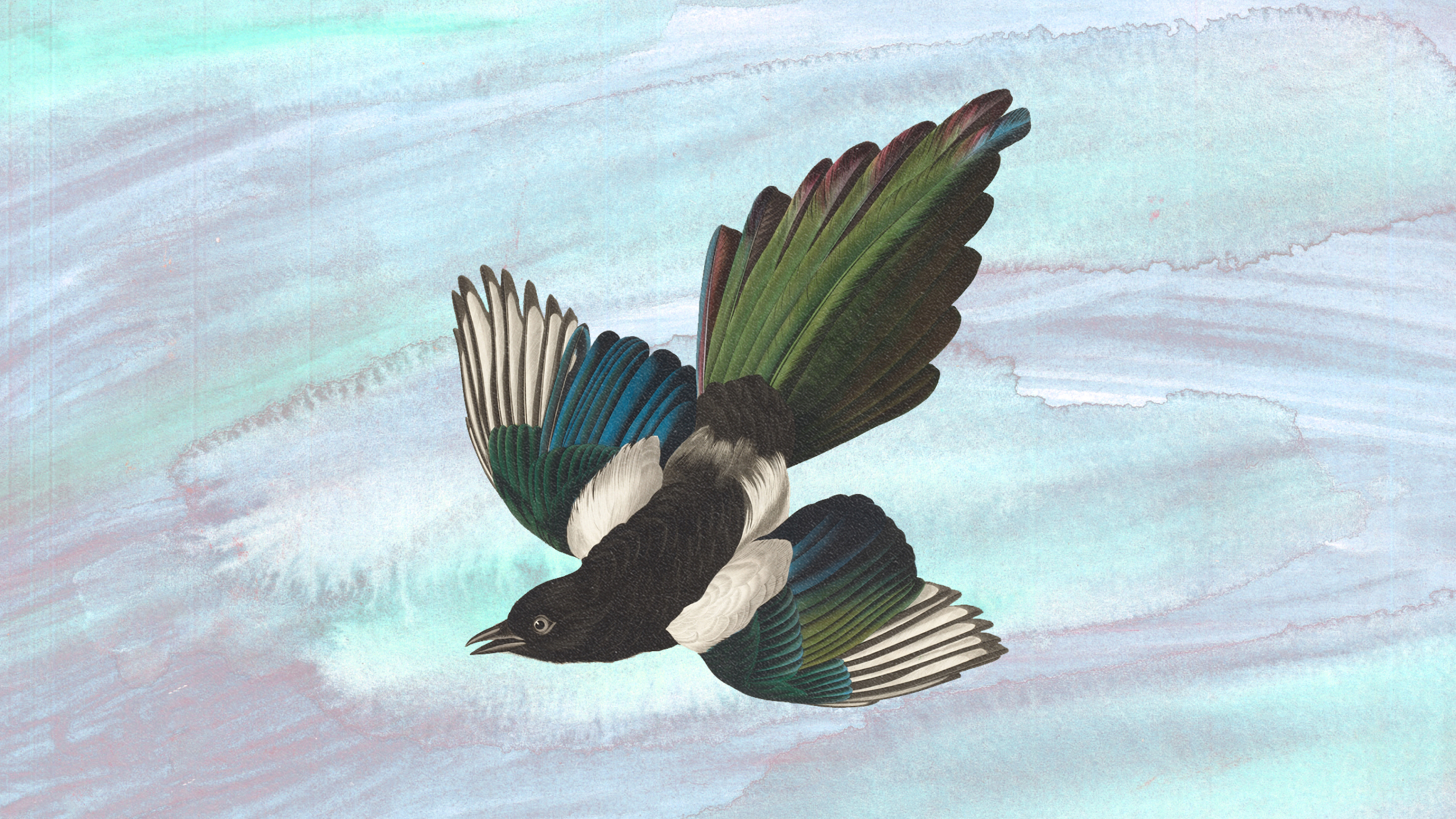 An innovative drawing of a bird soaring through the sky, supercharging inspiration with its dynamic flight.