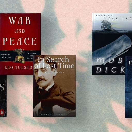 A collection of books about war and peace that you haven't read.