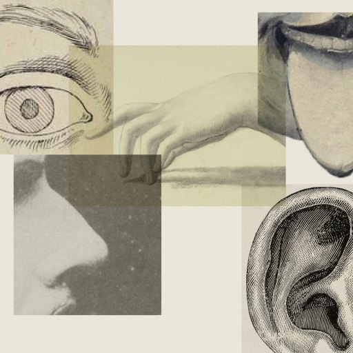 A collage featuring detailed illustrations of an eye, nose, ear, mouth with tongue, and a hand against a light background.