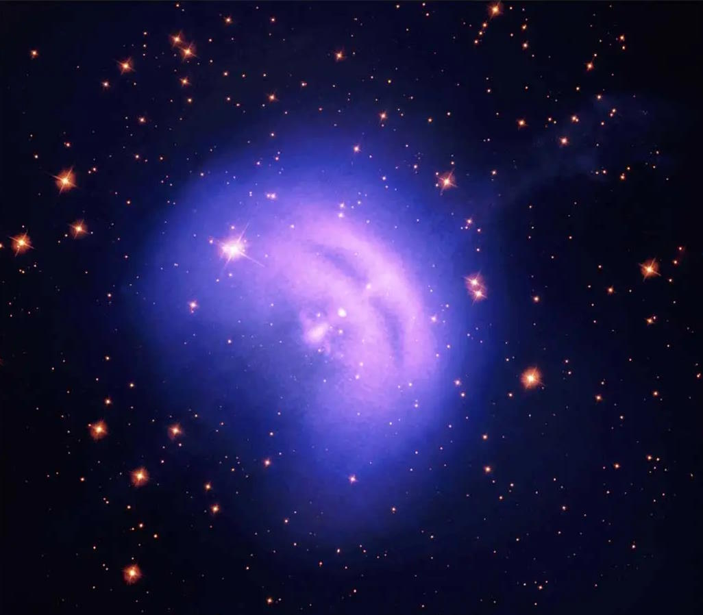 vela pulsar winds IXPE