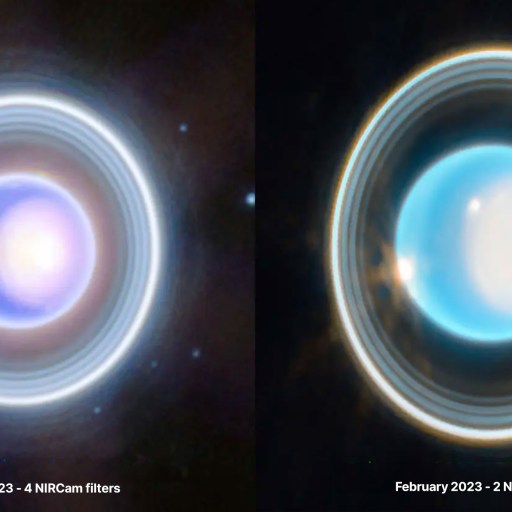 Saturn is shown in one image, while Neptune is shown in a different image.