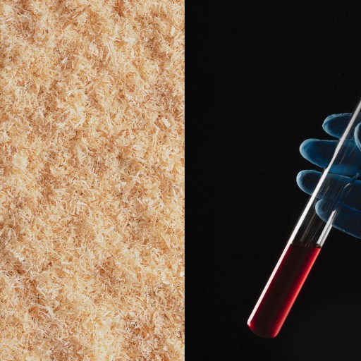 A person conducting an experiment with a test tube next to a piece of bread.