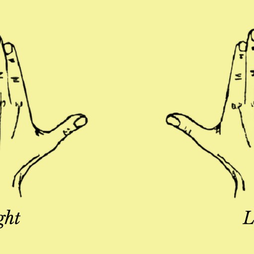 Line drawing of two hands, palms facing forward, labeled "Right" under the left hand and "Left" under the right hand on a yellow background.