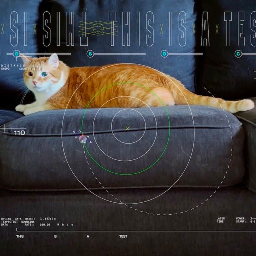 A cat is sitting on a couch in front of a computer screen.