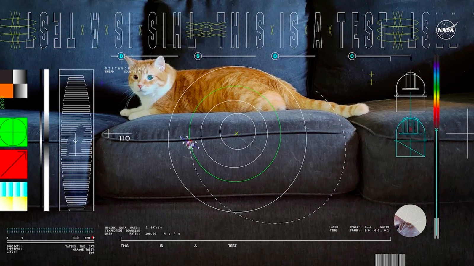 A cat is sitting on a couch in front of a computer screen.