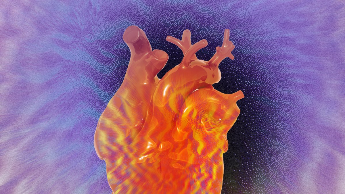 An image of a human heart in flames.