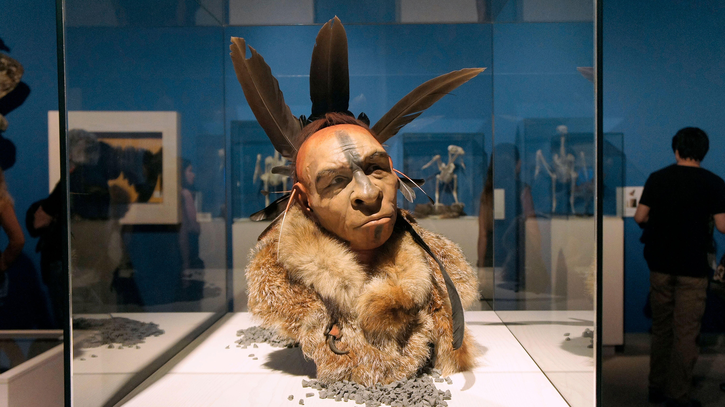 A group of people look at a display of Neanderthal artifacts.