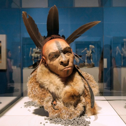 A group of people look at a display of Neanderthal artifacts.