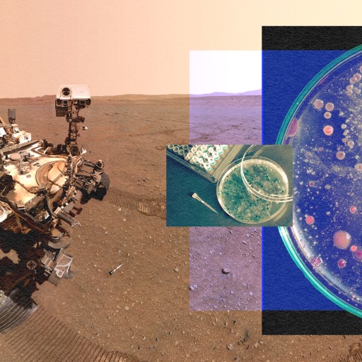 Nasa's curiosity rover on mars.