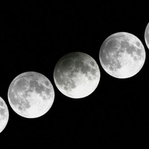 Phases of a partial lunar eclipse progression against a dark sky during the penumbral eclipse.