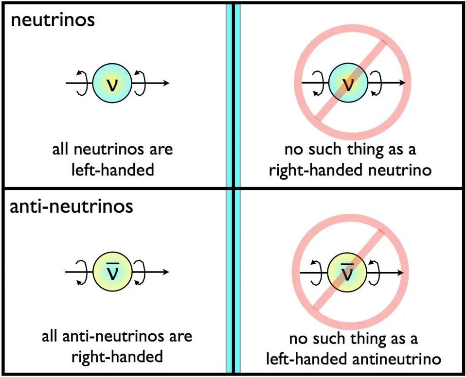 Neutrinos vs antineutrinos: exploring the symmetries in physics.