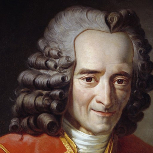 Portrait of Voltaire, featuring a detailed depiction of the philosopher in a red coat, with gray curly hair and a gentle smile, symbolizing his wisdom in making better decisions, painted by Nicolas de L
