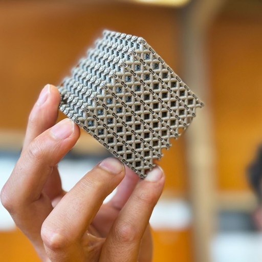 A person holding a complex metallic lattice structure in focus, with a blurred individual in the background.