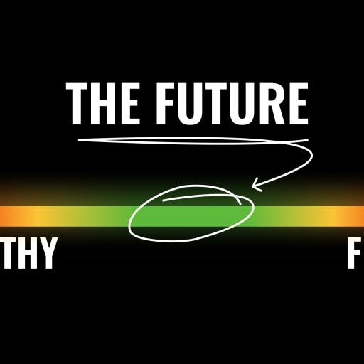 A gradient bar titled "The Future" shows a range from "Apathy" in red on the left to "Fear" in red on the right, with green in the middle. An arrow points to the green area.