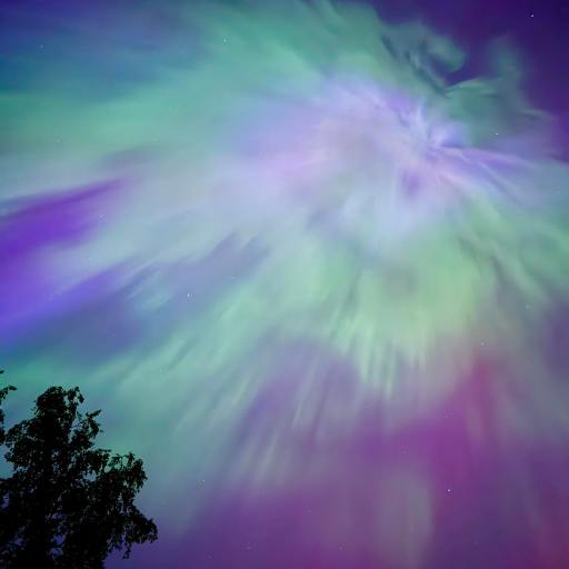A vibrant aurora borealis with green and purple hues in a starry sky, viewed over the silhouette of a tree, reminiscent of the "aurora hubble" phenomenon.