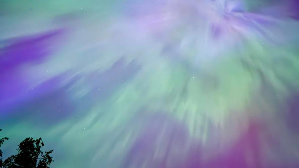 A vibrant aurora borealis with green and purple hues in a starry sky, viewed over the silhouette of a tree, reminiscent of the "aurora hubble" phenomenon.