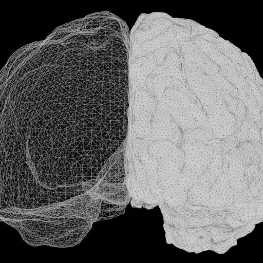 Black and white wireframe rendering of a human brain, with the left hemisphere shown in sparse lines and the right hemisphere rendered more densely detailed, highlighting areas associated with cognition.