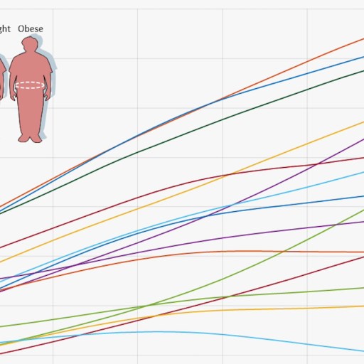 Line chart showing body mass index (BMI) trends for various countries. Lines are labeled by country, with silhouetted figures for normal, overweight, and obese categories on the left.