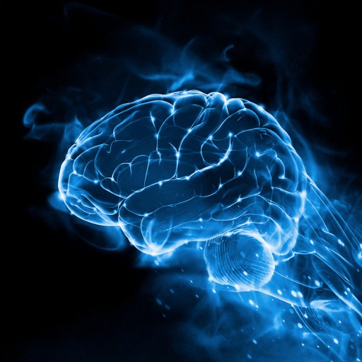 Glowing blue digital rendering of a human brain against a black background.