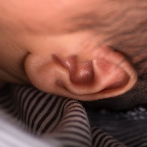 Close-up image of a baby's ear as the baby rests its head against a striped fabric, capturing the tender moments when they first start to absorb the language around them.