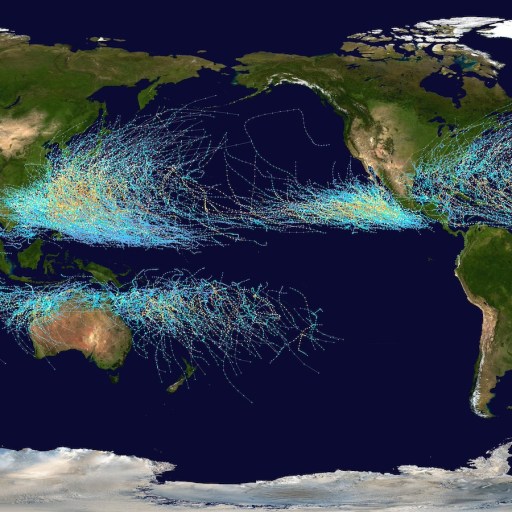 Map of the world showing tropical cyclone tracks from 1985 to 2005. Paths are marked with lines indicating storm movement over time. Dense clusters appear in the North Pacific, North Atlantic, and the Indian Ocean.