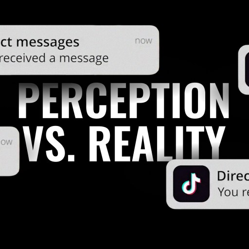 Image showing multiple notifications of "Direct messages" overlaid with the text "PERCEPTION VS. REALITY" in bold, emphasizing the contrast between appearance and actual experience.