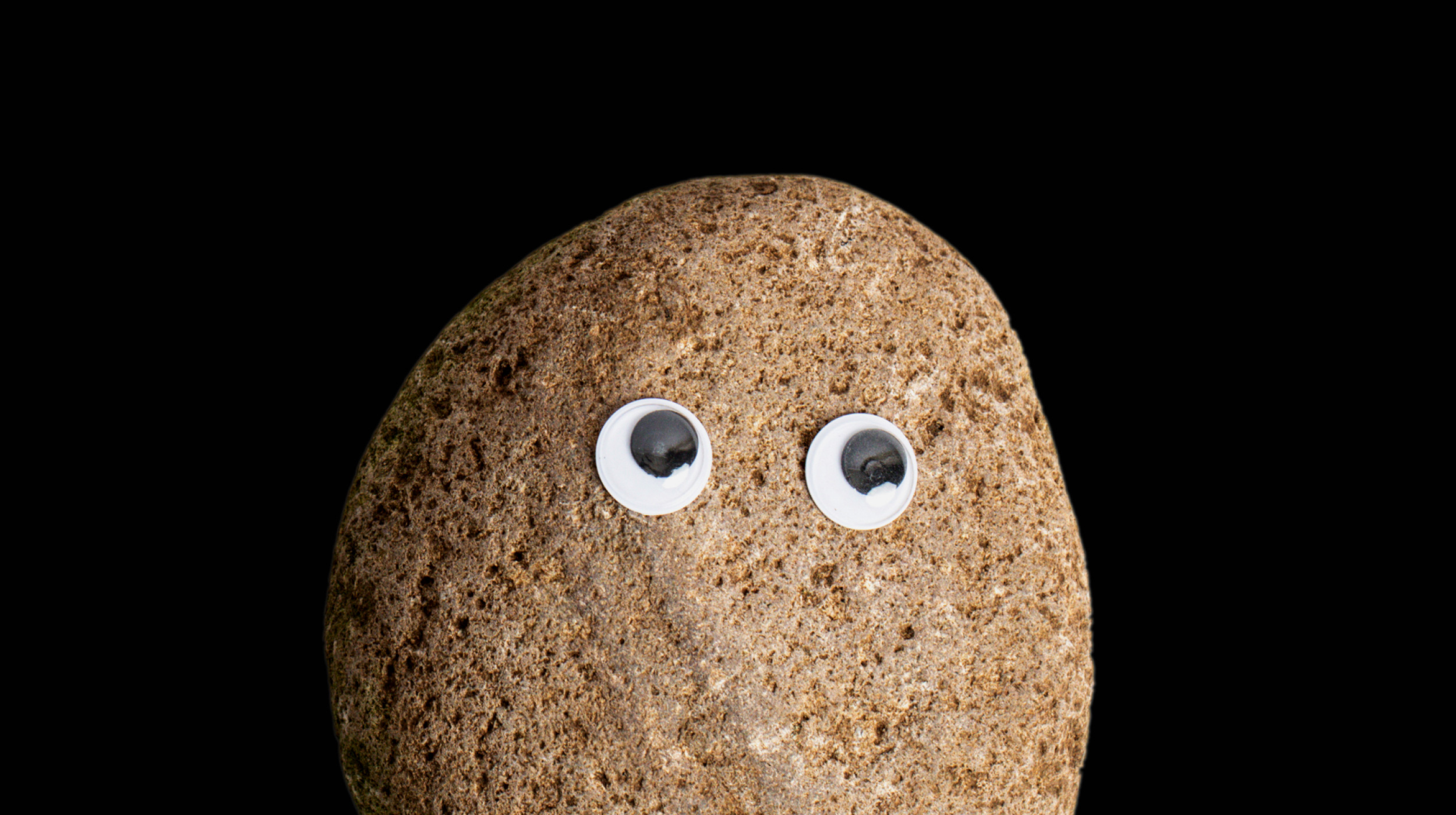 A brown rock with two googly eyes attached to its upper half, set against a plain black background.