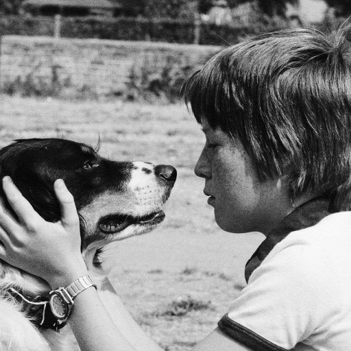 A child lovingly holds a dog’s face with both hands, gazing into its doggish eyes in an outdoor setting.