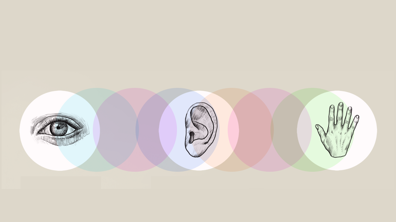 Illustration featuring an eye, an ear, and a hand, each encircled by overlapping multicolored circles.