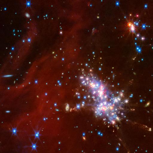 A dense cluster of young stars and bright blue-white spots set against a dark reddish-brown background, with scattered sparkles of light from numerous stars in the outer Milky Way, captured stunningly by JWST.