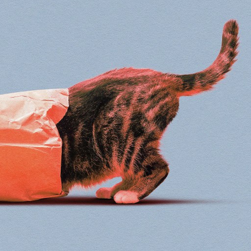 A cat, driven by curiosity, has its head and upper body inside a crumpled orange paper bag, with its tail and hind legs visible against a plain light blue background.
