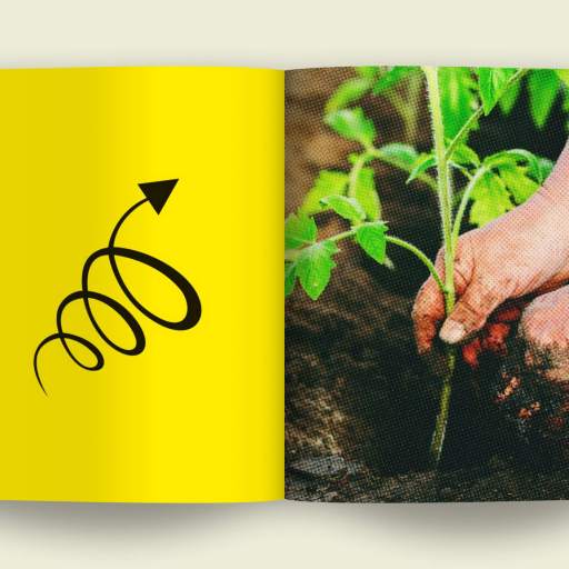 Open book showing a hand planting a small green plant on the right page, symbolizing restoration, and a bold black squiggly arrow on a yellow background on the left page, illustrating the dynamic flow of networking.
