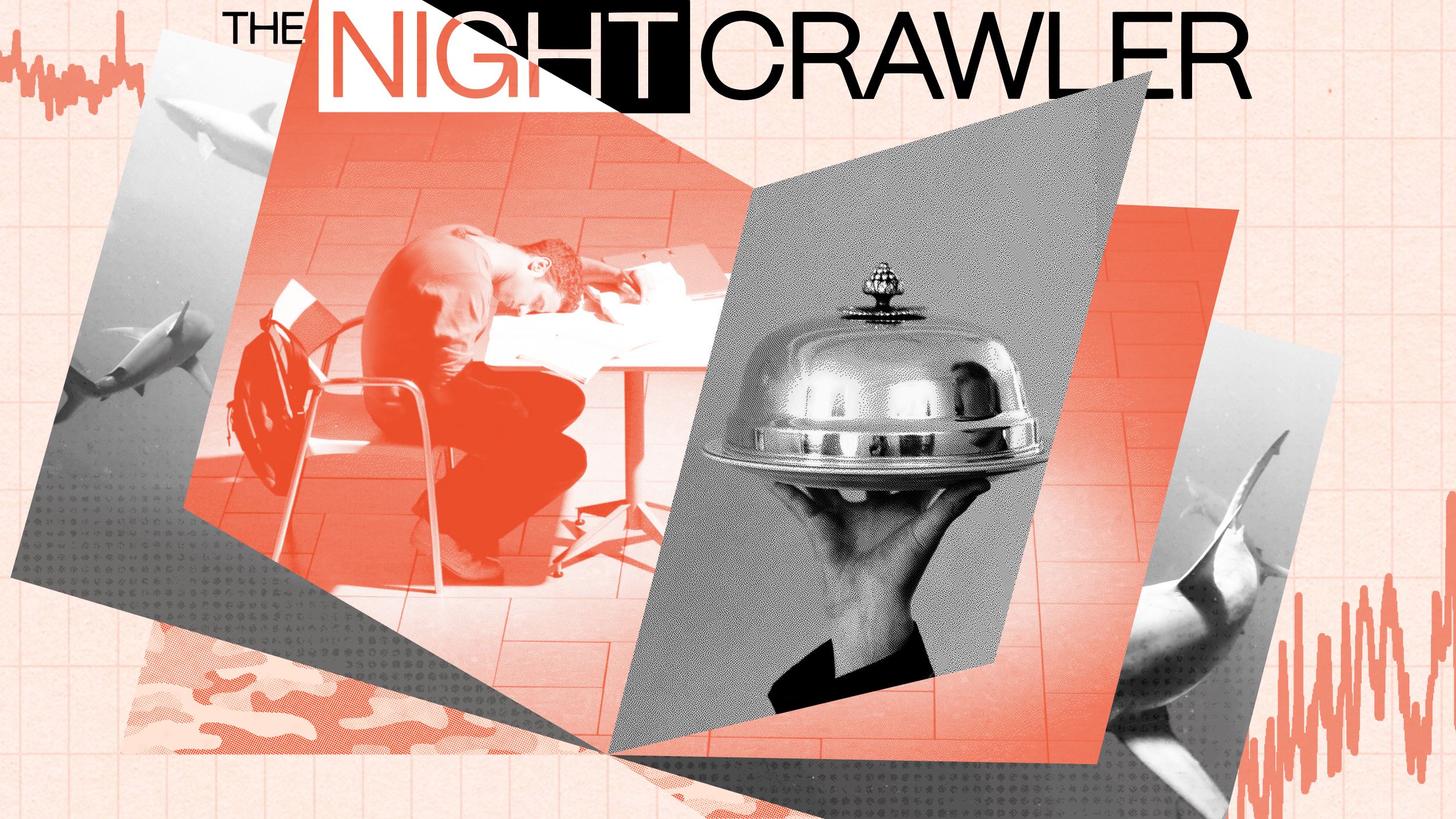 Collage featuring a person sleeping at a desk, a hand holding a hotel bell, and sharks. The title "The Night Crawler" appears at the top.