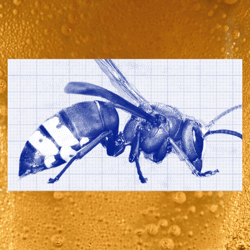 A wasp illustration in blue on grid paper is overlaid on a close-up image of effervescent bubbles in a golden alcoholic liquid.