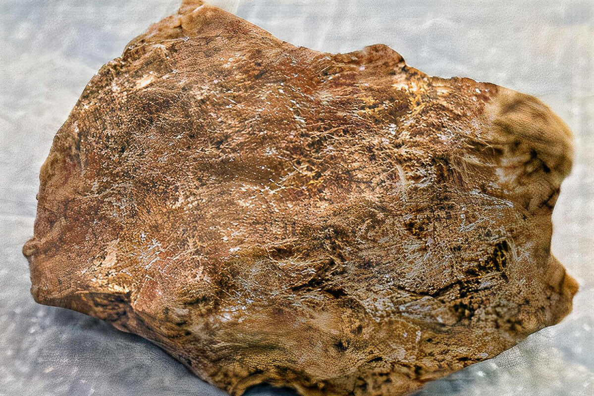Close-up of a textured, irregularly shaped brown rock with visible markings and rough surface, placed on a neutral background.