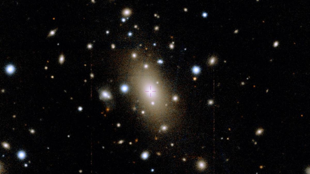 A sky full of stars with a large central galaxy, surrounded by smaller galaxies and bright spots on a dark background.