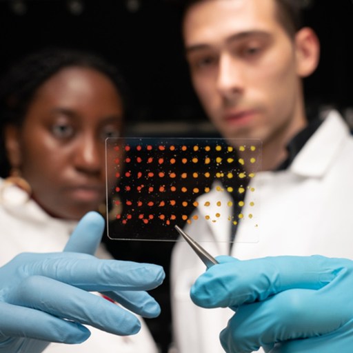Two scientists in lab coats and gloves examine a small transparent plate with colorful dots, held by tweezers, in a laboratory setting.