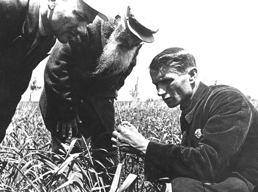 Three men scrutinize the plants in a field, their discussion weaving through layers of science and discovery, as if dissecting nature&rsquo;s hidden truths under the watchful gaze of an invisible government censor.