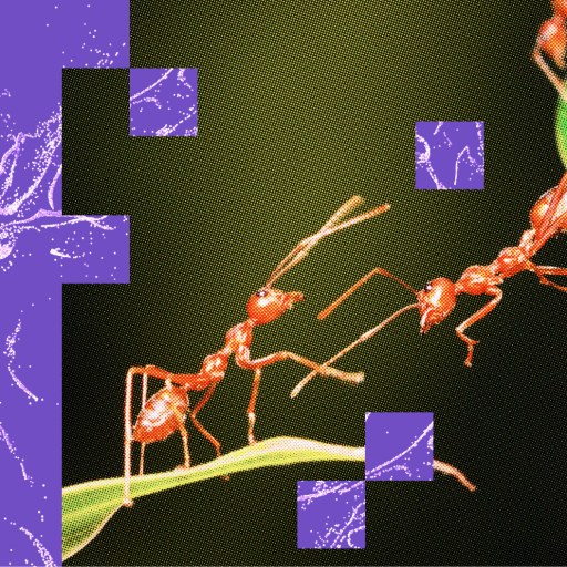 Red ants on green leaves with purple abstract shapes and squares in the background, symbolizing how AI for stronger teams can create a vibrant, interconnected ecosystem.